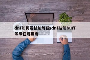 dnf如何看技能等级/dnf技能buff等级在哪里看
