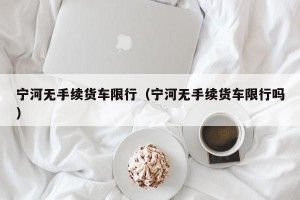 宁河无手续货车限行（宁河无手续货车限行吗）