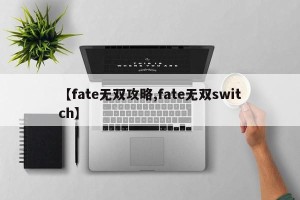 【fate无双攻略,fate无双switch】