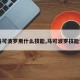 【马可波罗用什么技能,马可波罗技能详解】