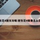 原生花4图文攻略:原生花4糖果怎么获得