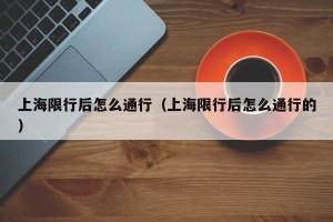 上海限行后怎么通行（上海限行后怎么通行的）