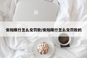 安阳限行怎么交罚款/安阳限行怎么交罚款的