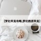 【梦幻天龙攻略,梦幻西游天龙】