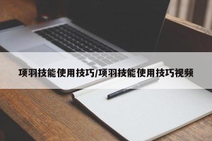 项羽技能使用技巧/项羽技能使用技巧视频