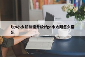 fgo小太阳技能升级/fgo小太阳怎么搭配